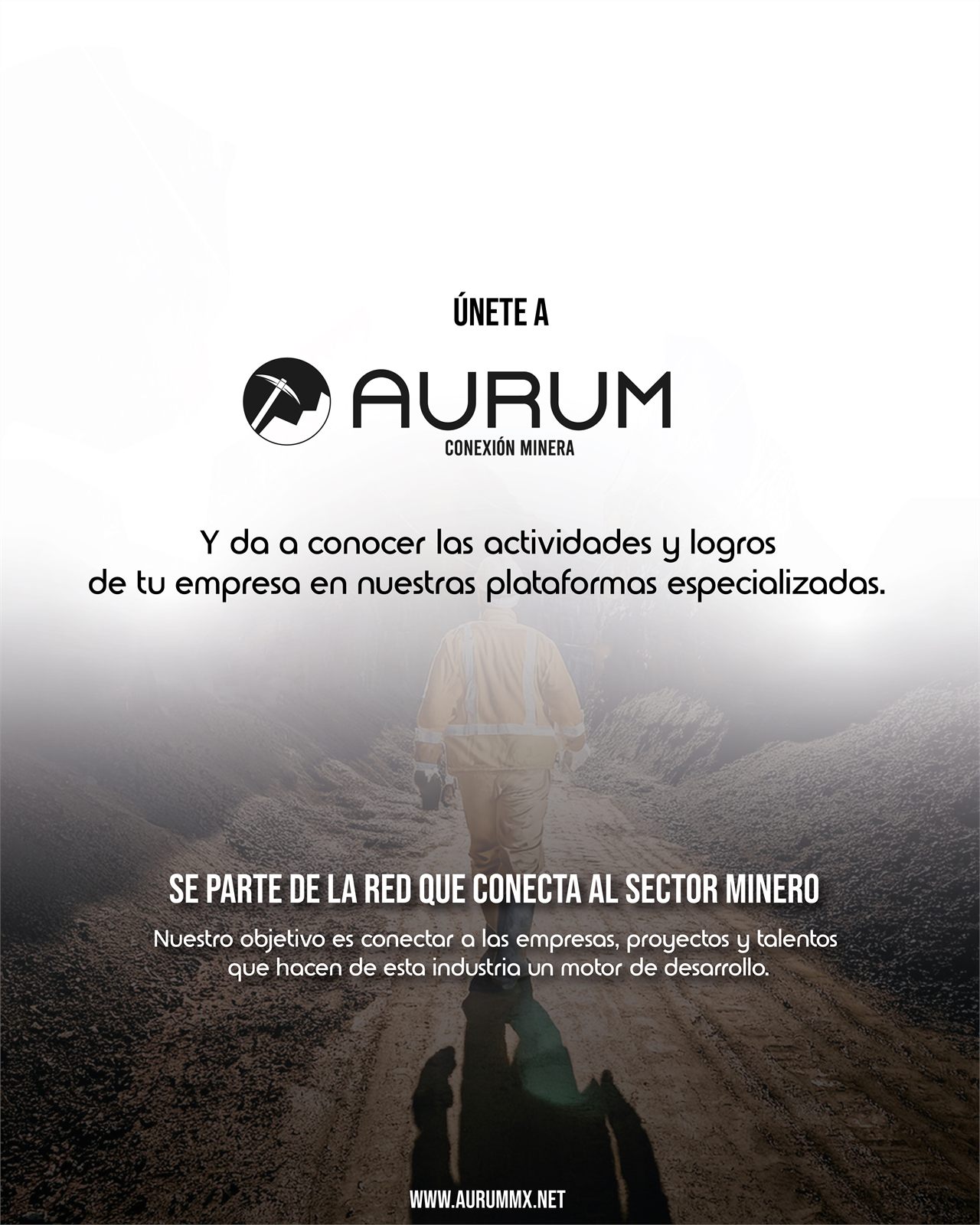 Invitación a formar parte de la red de Aurum Conexión Minera