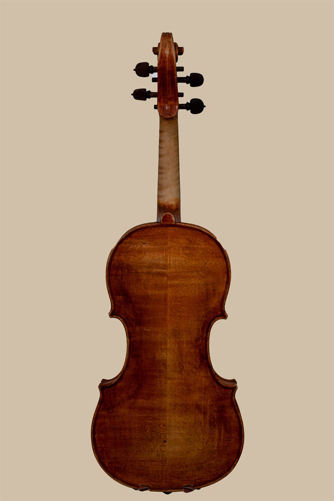 Parte trasera de un violín sobre fondo beige
