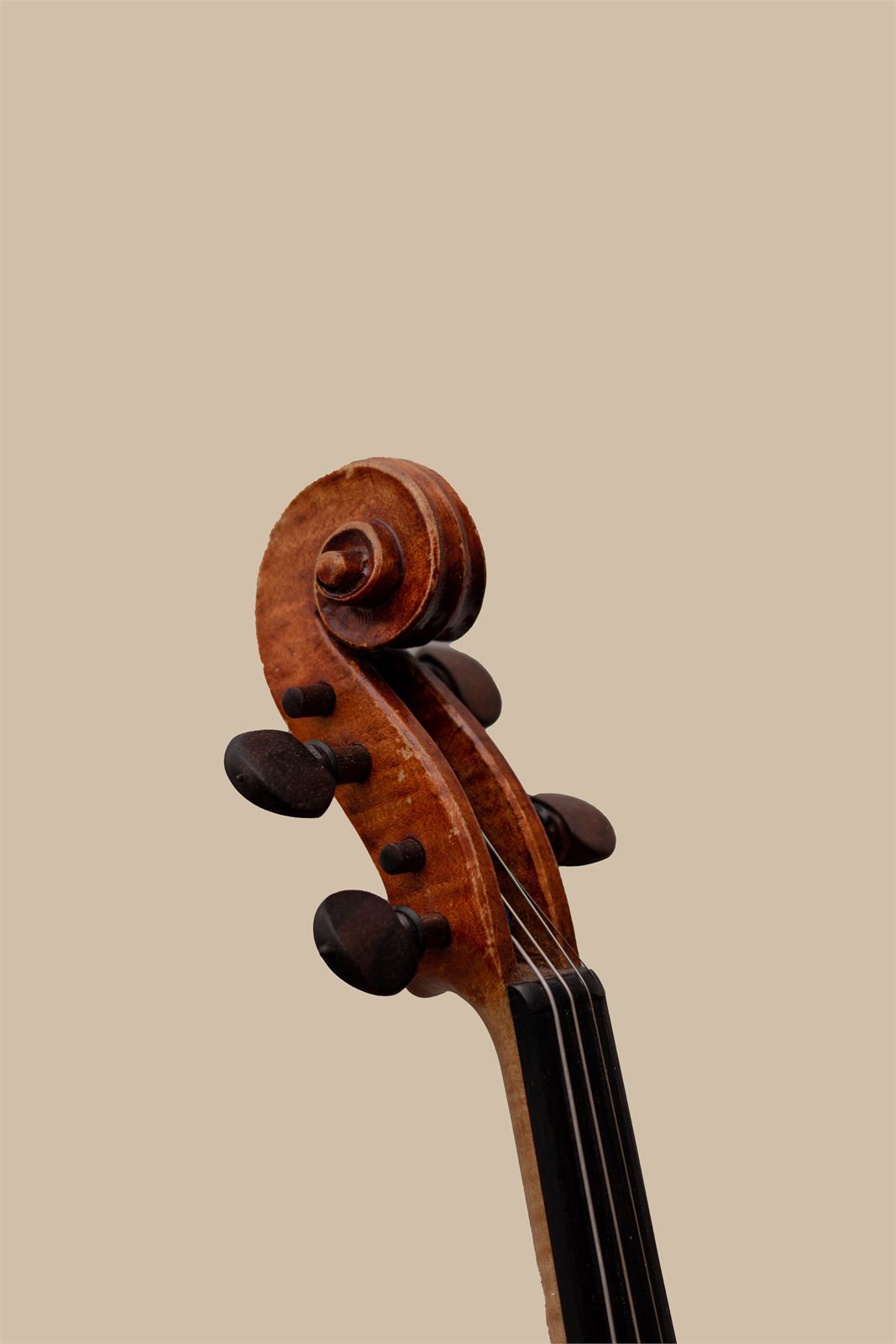 Voluta y clavijas de un violín sobre fondo beige